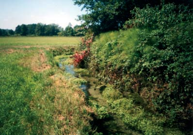 APPLICAZIONE DELL INDICE DI FUNZIONALITÀ FLUVIALE (IFF) AL SISTEMA IDROGRAFICO DEL FIUME TICINO La Roggia Rabica origina da una risorgenza in prossimità di Casa delle Pinete in Comune di Morimondo e