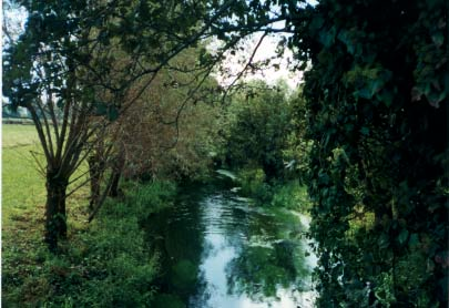 APPLICAZIONE DELL INDICE DI FUNZIONALITÀ FLUVIALE (IFF) AL SISTEMA IDROGRAFICO DEL FIUME TICINO La Roggia Acqua Tencia Gambarera origina all altezza di Cascina Stroppina in Comune di Abbiategrasso e,