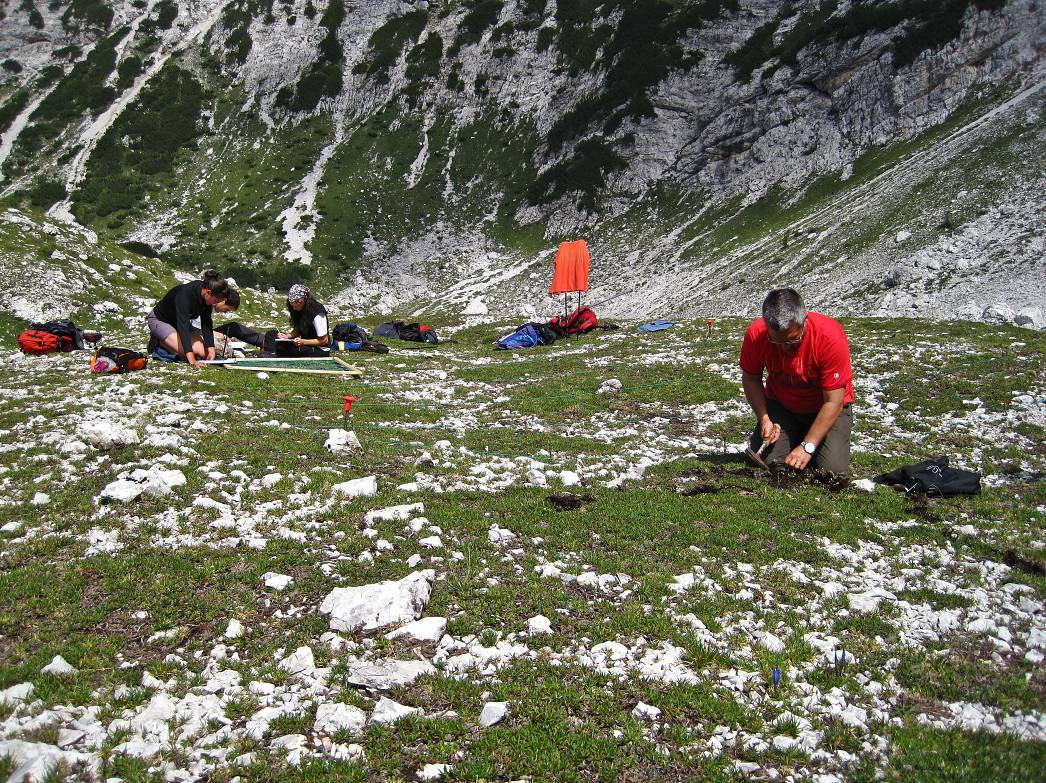 Progetto Climaparks - Parco Naturale Dolomiti Friulane Griglia mobile con quadrati da 10