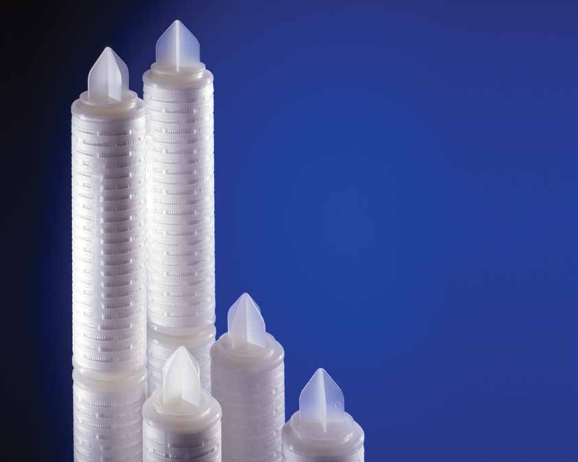 Vinotest membrane Prefiltro a membrana testabile in linea Indicato per la protezione del filtro finale e specifico per la riduzione a freddo di lieviti e muffe Membrana in PES con prefiltro in fibra