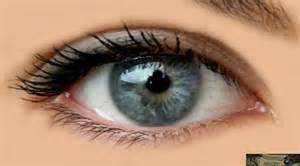 La vista Il senso della vista è delegato a due organi, gli occhi, posti in altrettante cavità del cranio, dette orbite o cavità orbitarie.