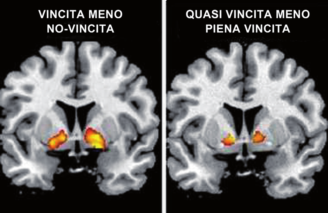 Questi dati indicano un importante informazione aggiuntiva, ovvero che le sfiorate vincite rafforzano il desiderio di giocare d azzardo attraverso un coinvolgimento anomalo del circuito della