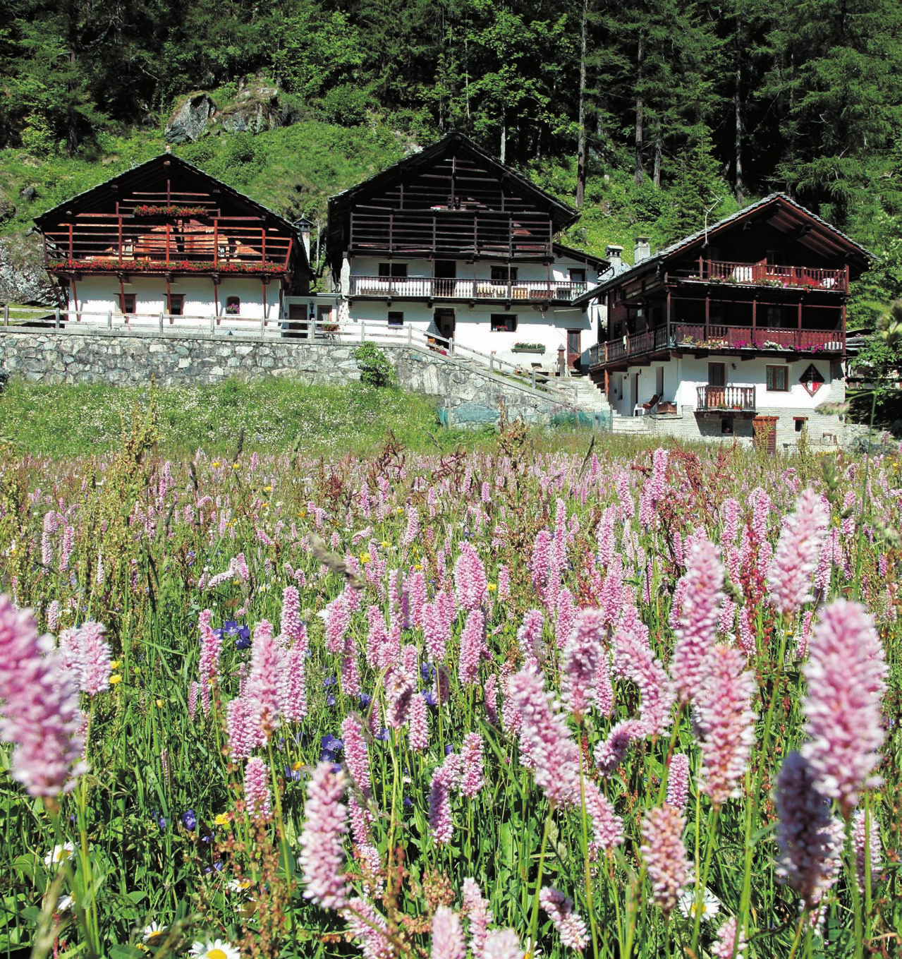 Ambiente e Territorio in Valle d Aosta Po