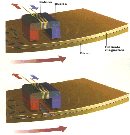 Memorizzazione Le particelle di ferro sulla superficie del disco sono disposte in modo casuale.