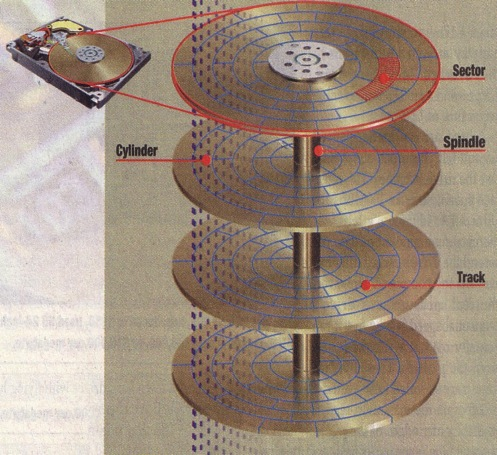 Hard Disk: lettura e scrittura Una volta formattati i dischi il sistema operativo tiene traccia del posizionamento di ogni singolo cluster di dati sulle tracce dei dischi e guida il movimento delle
