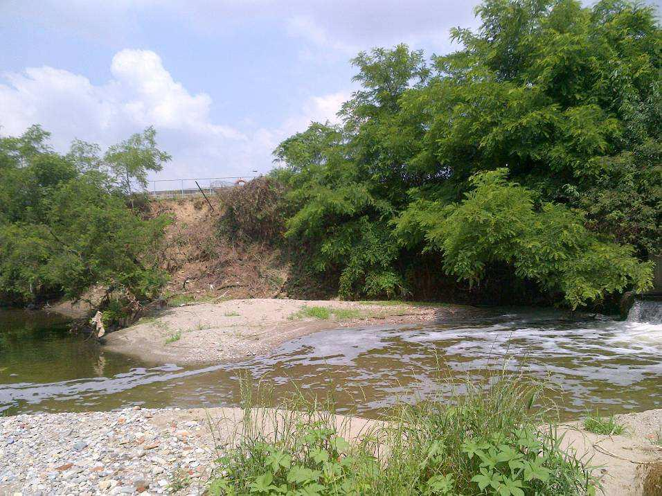 Manutenzione diffusa lungo il fiume Molgora.