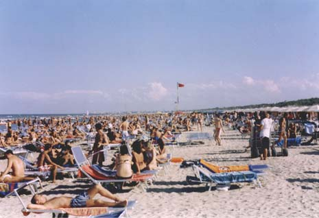 Stato del litorale all anno 2007 Marina di Ravenna: tipico utilizzo delle spiagge in Emilia-Romagna Quale il disastro possibile per il litorale emiliano-romagnolo?