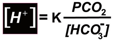 [HCO 3 - ] al denominatore, secondo una costante K, che, nel caso specifico, è numericamente 800.