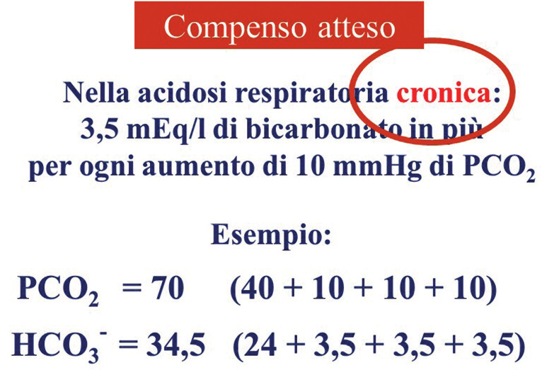 Fig. 14 Compenso in fase acuta. alla sua azione e, una volta avviato il meccanismo del compenso, la sua attività rimane stabile e il suo contributo risulta determinante.