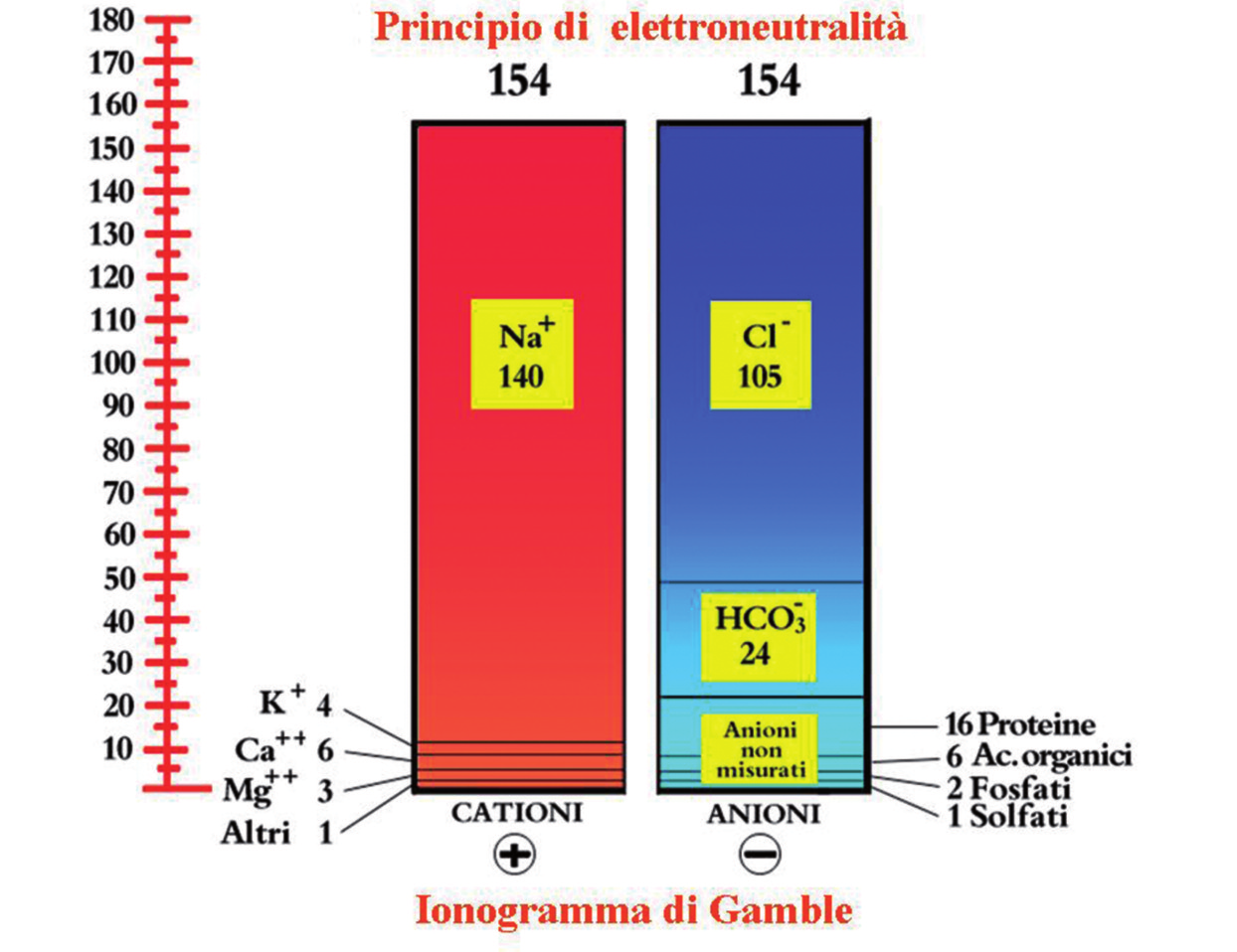 Fig. 19 Le torri gemelle dello ionogramma di Gamble (Il principio di elettroneutralità).