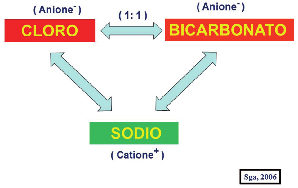 Come già abbiamo detto nel capitolo nono, le ipotesi eziologiche fanno parte di una cerchia ristretta e la loro memorizzazione è semplice affidandosi ad un acronimo coniato alcuni anni fa e