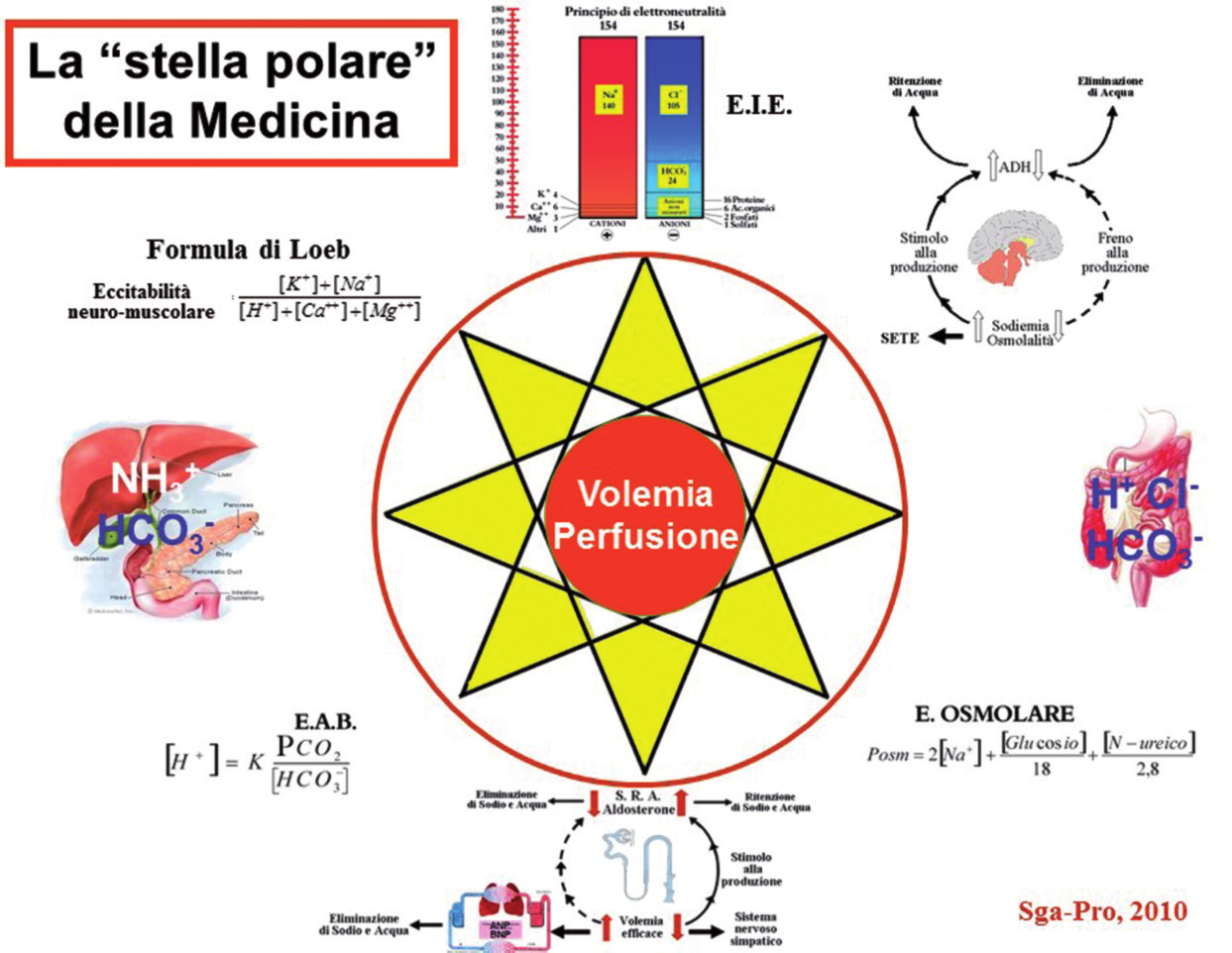 al suo posto deve diminuire un altro catione (per es. il Ca ++ o il K + ) e così anche nelle altre eventualità analoghe.