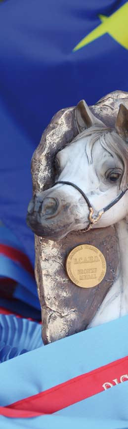 Silver Medal MILLENNIA THEFINAL JUDGMENT X MEDEIRA - O: GUBBIOTTI GIAMPAOLO- B: BOECKLE UTE Silver Medal Mares OM EL BENDIGO SANADIK