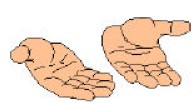 IGIENE PERSONALE Le mani sono il primo strumento di lavoro e fonte primaria di contaminazione, quindi devono essere lavate e