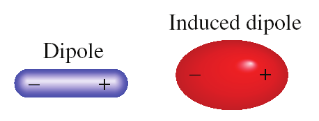 Forze Intermolecolari Forze di Dispersione (London) Forze attrattive che sono il risultato di dipoli