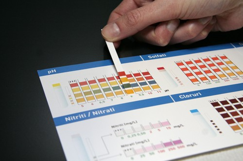 L'analisi con ImmediaTest acqua Dopo circa 2 minuti procedete comparando i