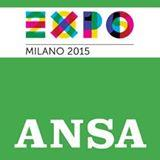 Expo: Crea, al via ricerca salva-pane contro rischio clima Simulazioni su piante per sfruttare prevedibile aumento di CO2 ROMA (ANSA) - ROMA, 3 LUG - Salvaguardare il grano dai cambiamenti climatici,