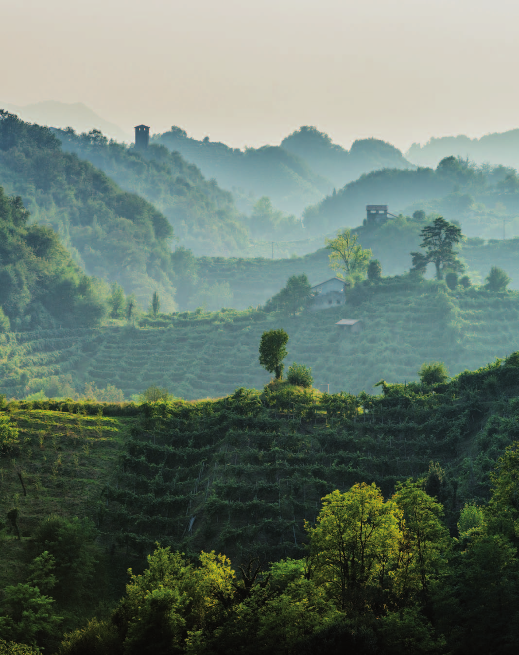 14-17 MAGGIO ARTE E CULTURA IN CONEGLIANO VALDOBBIADENE Vino invilla Festival. Da degustare insieme.