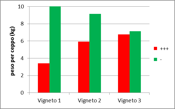 ANGELINI., LA MALATTIA DEL PINOT GRIGIO, PAG.