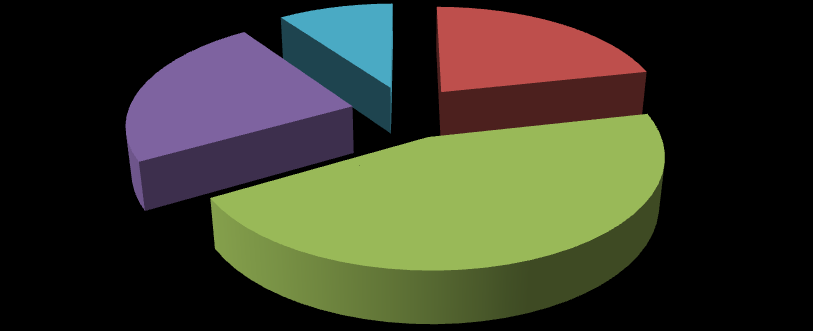 L.01 4% 4% 45% 41% L.