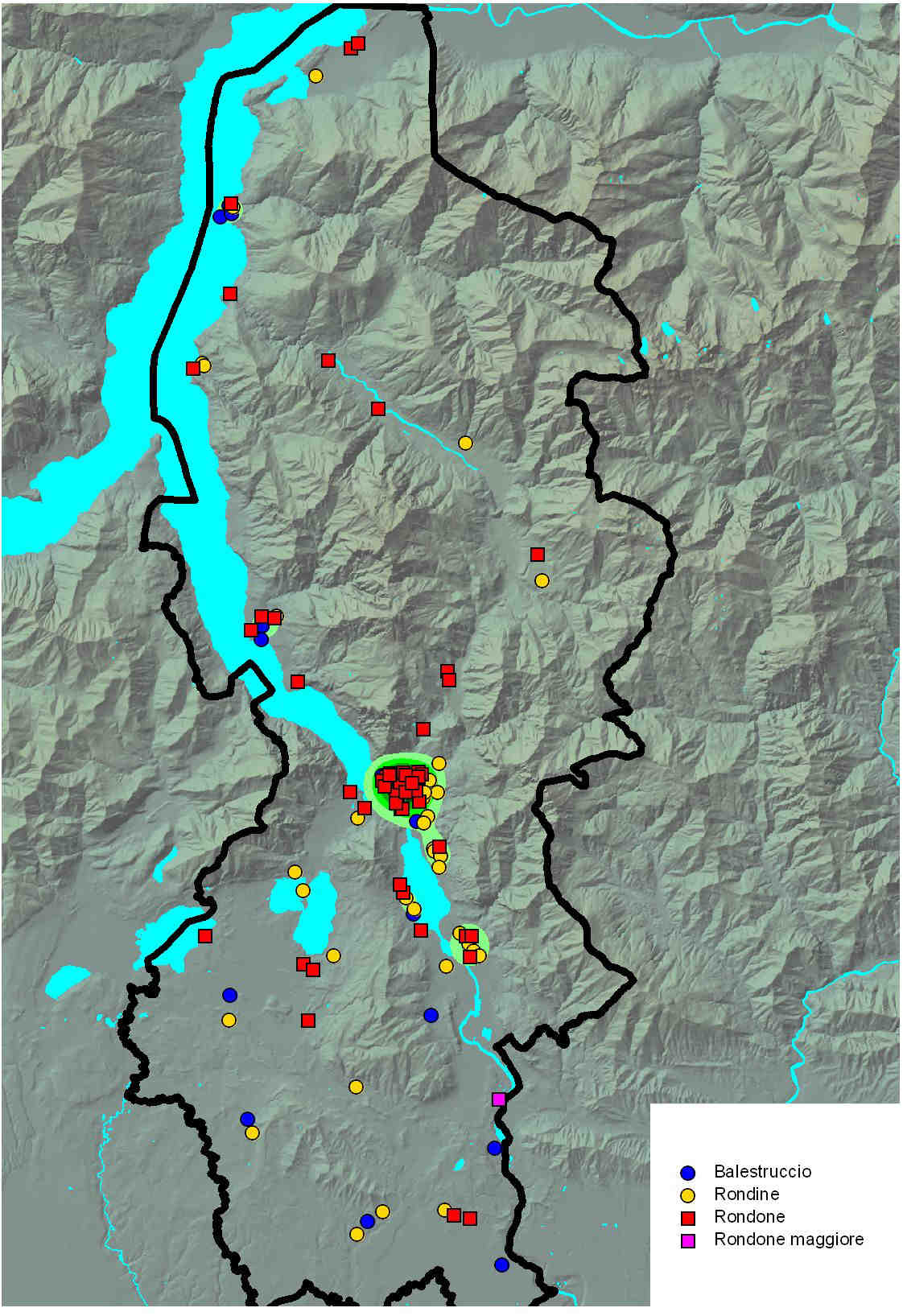 Uccelli acquatici Rondini e Rondoni Per gli uccelli acquatici non viene segnalata un area di concentrazione particolare, ma gli interventi sono distribuiti lungo tutta la provincia, in vicinanza