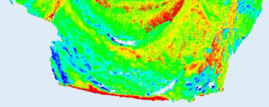 123Dcatch / 0,49 0,66 My3Dscanner/ 0,14 0,59 Scarti < +/ 1 mm in verde Scarti < +/ 1 mm in verde Arc3D / 0,29