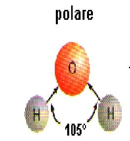 Ricordiamo che si definisce molecola un insieme di almeno due atomi uniti da un legame chimico, che costituiscono la più piccola parte di un composto.