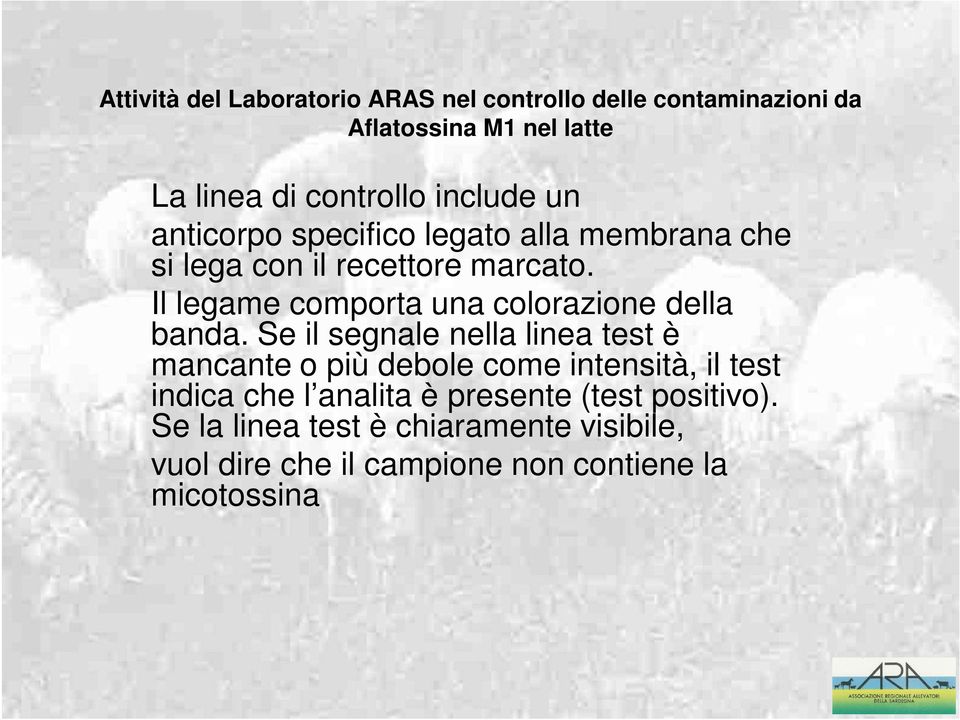 Se il segnale nella linea test è mancante o più debole come intensità, il test indica che l