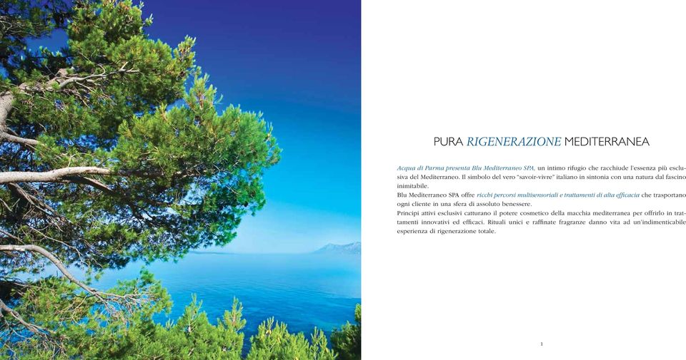 Blu Mediterraneo SPA offre ricchi percorsi multisensoriali e trattamenti di alta efficacia che trasportano ogni cliente in una sfera di assoluto benessere.