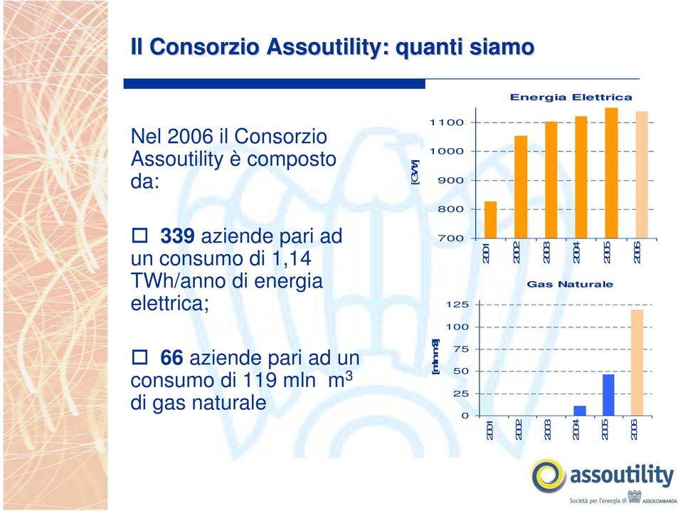 energia elettrica; 700 125 2001 2002 2003 2004 2005 Gas Naturale 2006 100 66 aziende pari