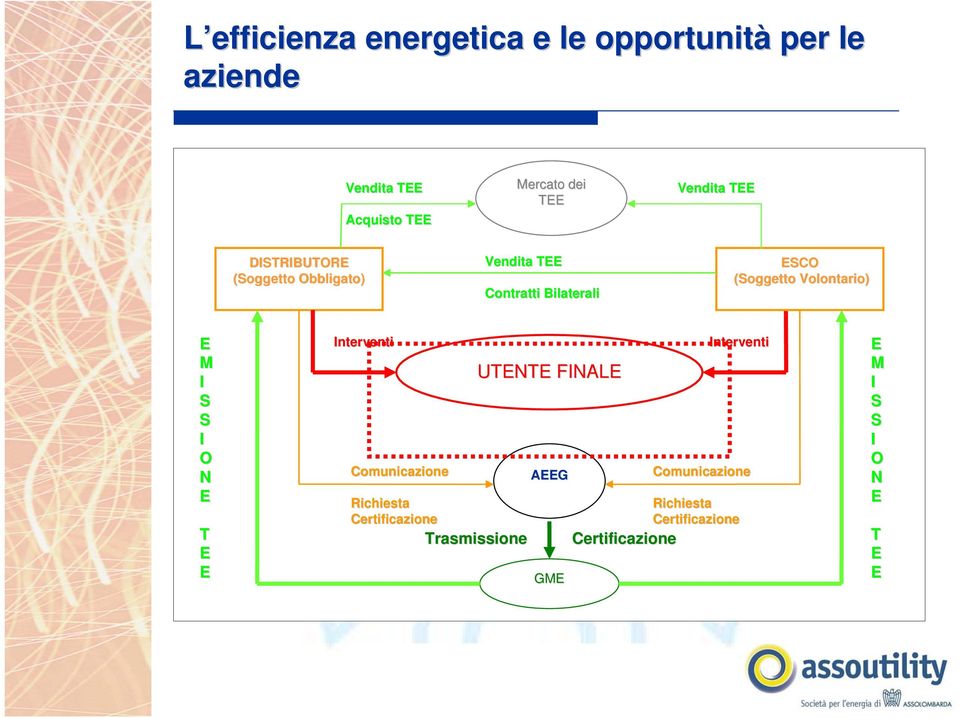 Volontario) E M I S S I O N E T E E Interventi Comunicazione UTENTE FINALE AEEG Richiesta Richiesta