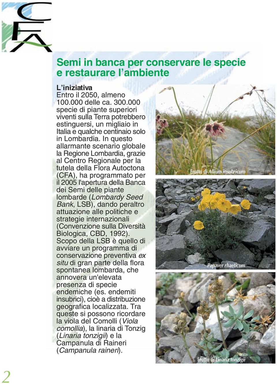 In questo allarmante scenario globale la Regione Lombardia, grazie al Centro Regionale per la tutela della Flora Autoctona (CFA), ha programmato per il 2005 l'apertura della Banca dei Semi delle