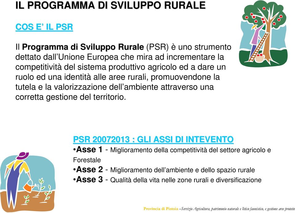 valorizzazione dell ambiente attraverso una corretta gestione del territorio.