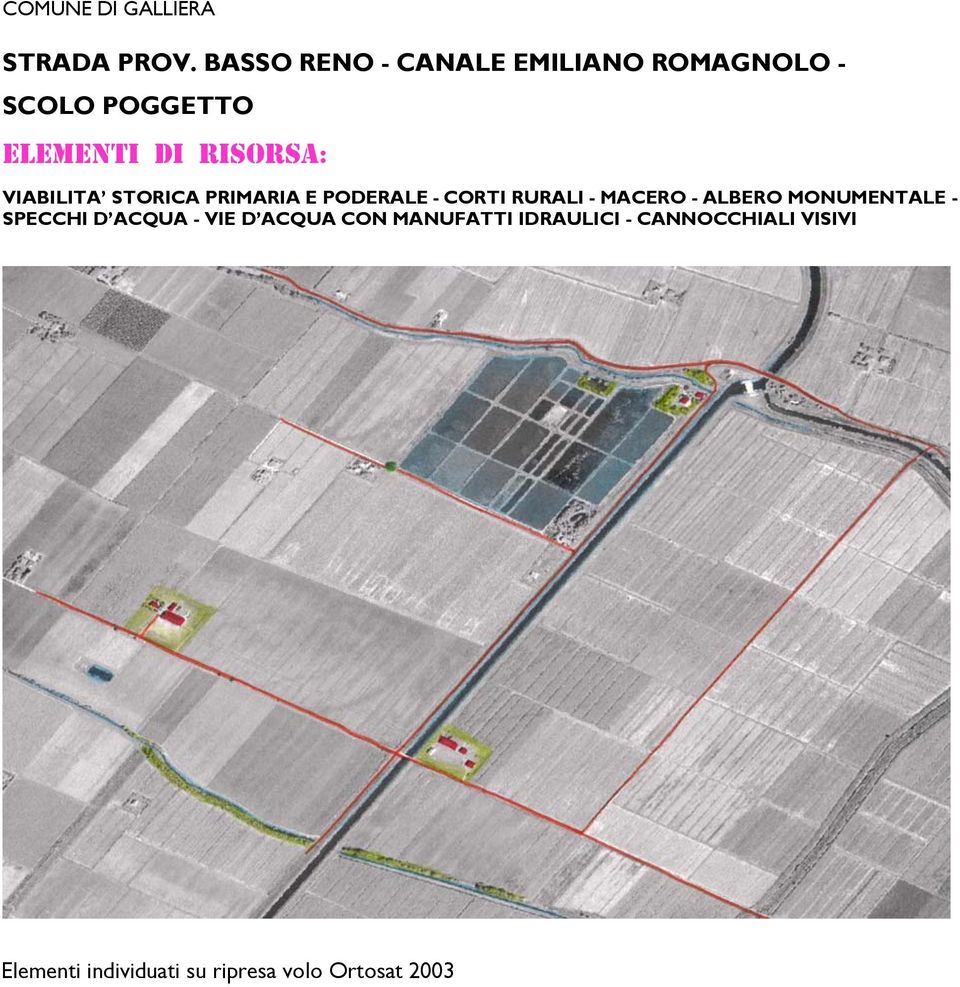 VIABILITA STORICA PRIMARIA E PODERALE - CORTI RURALI - MACERO - ALBERO