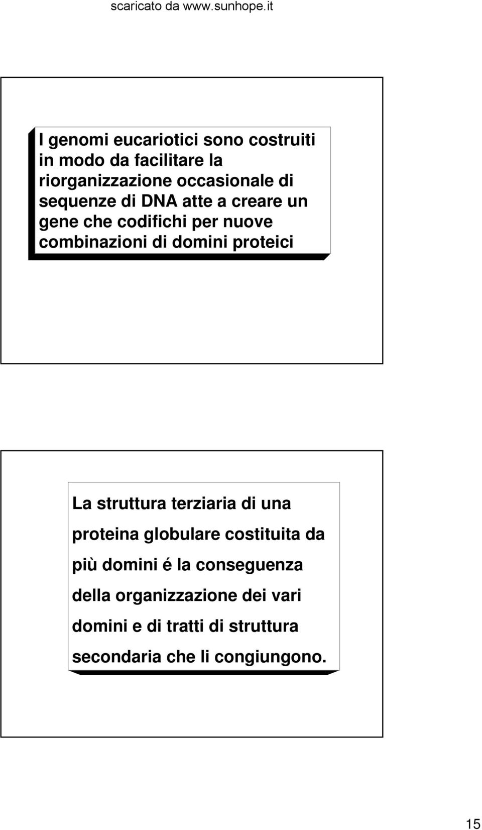 La struttura terziaria di una proteina globulare costituita da più domini é la conseguenza