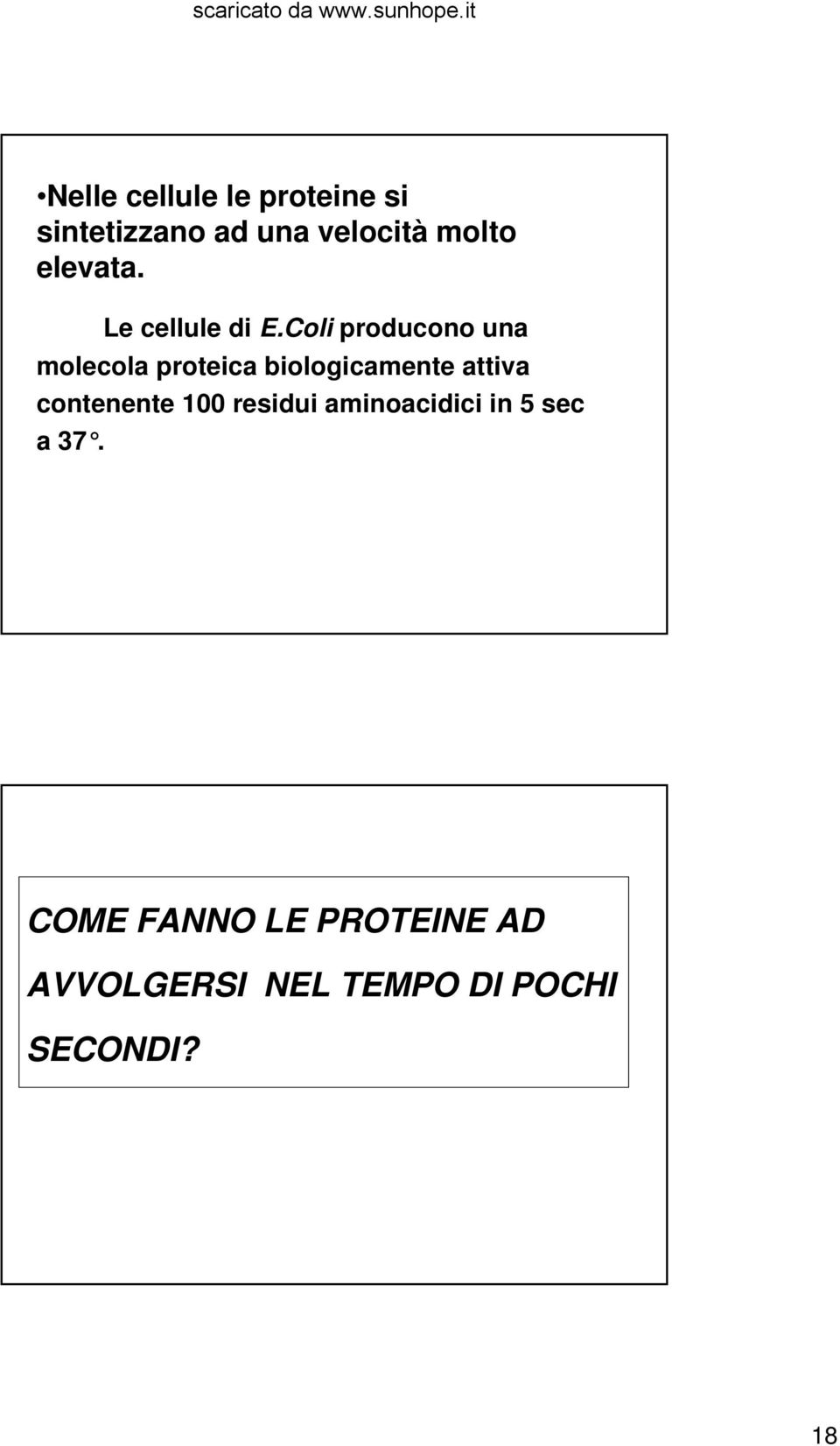 Coli producono una molecola proteica biologicamente attiva