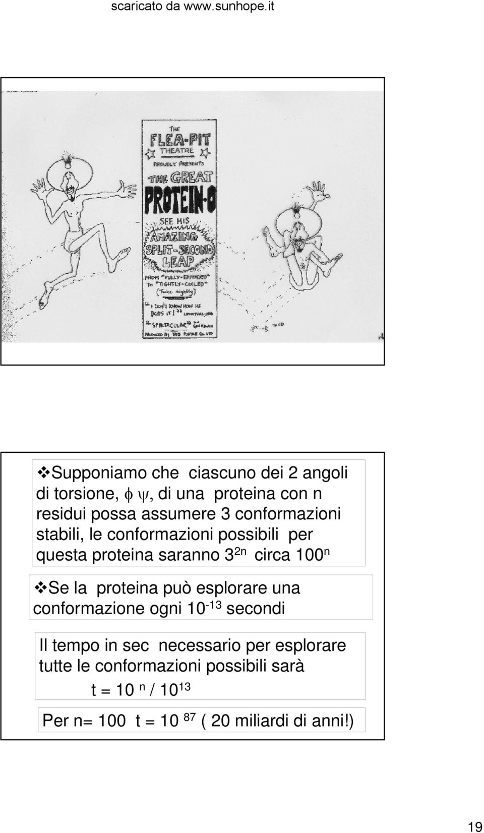 proteina può esplorare una conformazione ogni 10-13 secondi Il tempo in sec necessario per esplorare