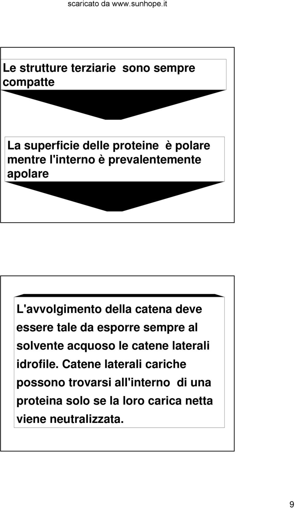 esporre sempre al solvente acquoso le catene laterali idrofile.