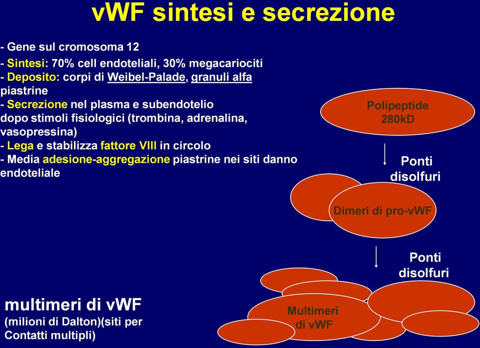 vasopressina) - Lega e stabilizza fattore VIII in circolo - Media adesione-aggregazioneaggregazione piastrine nei siti danno