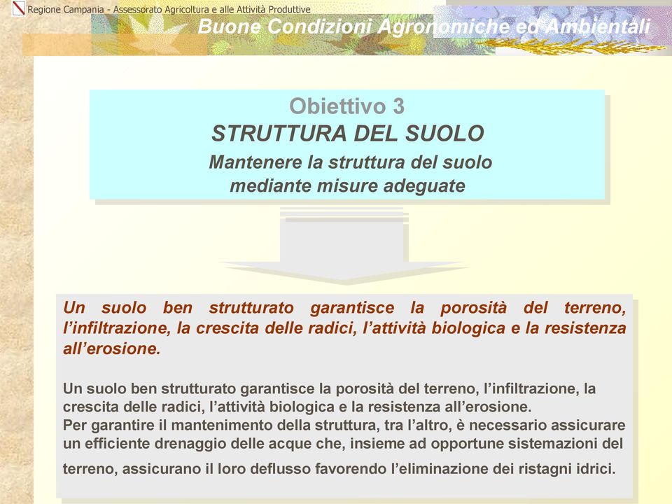 Un suolo ben strutturato garantisce la porosità del terreno, l  Per garantire il mantenimento della struttura, tra l altro, è necessario assicurare un efficiente