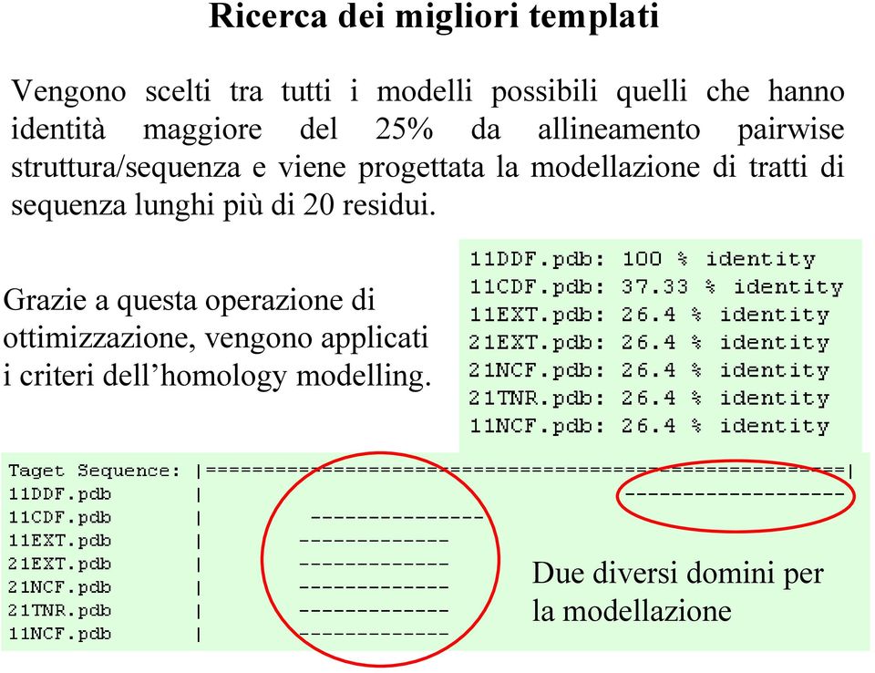 modellazione di tratti di sequenza lunghi più di 20 residui.