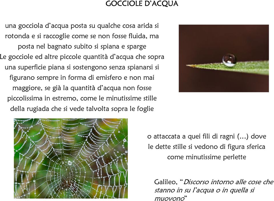 se già la quantità d acqua non fosse piccolissima in estremo, come le minutissime stille della rugiada che si vede talvolta sopra le foglie o attaccata a quei fili di