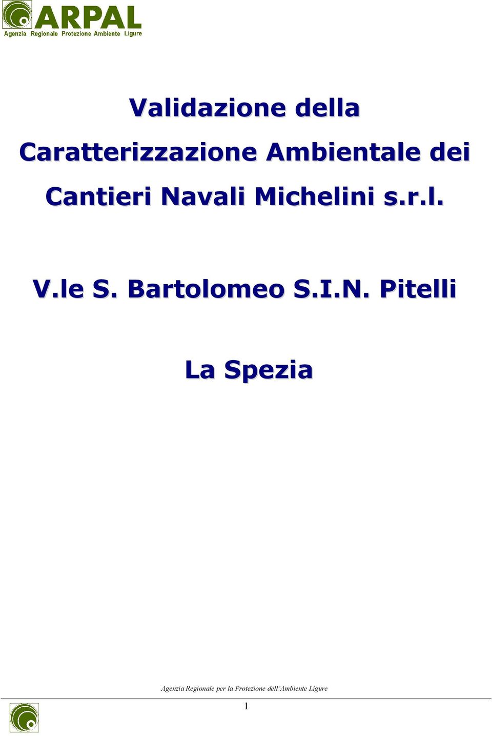 Cantieri Navali Michelini s.r.l. V.