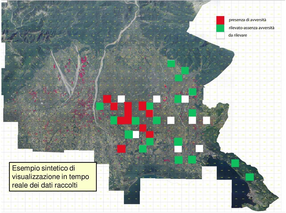 visualizzazione