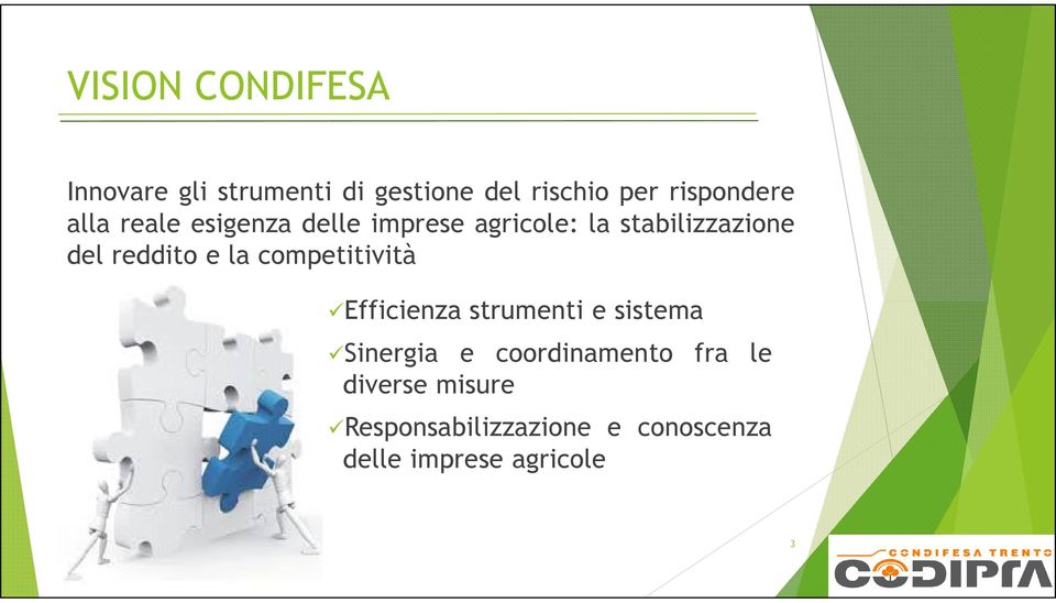 reddito e la competitività Efficienza strumenti e sistema Sinergia e