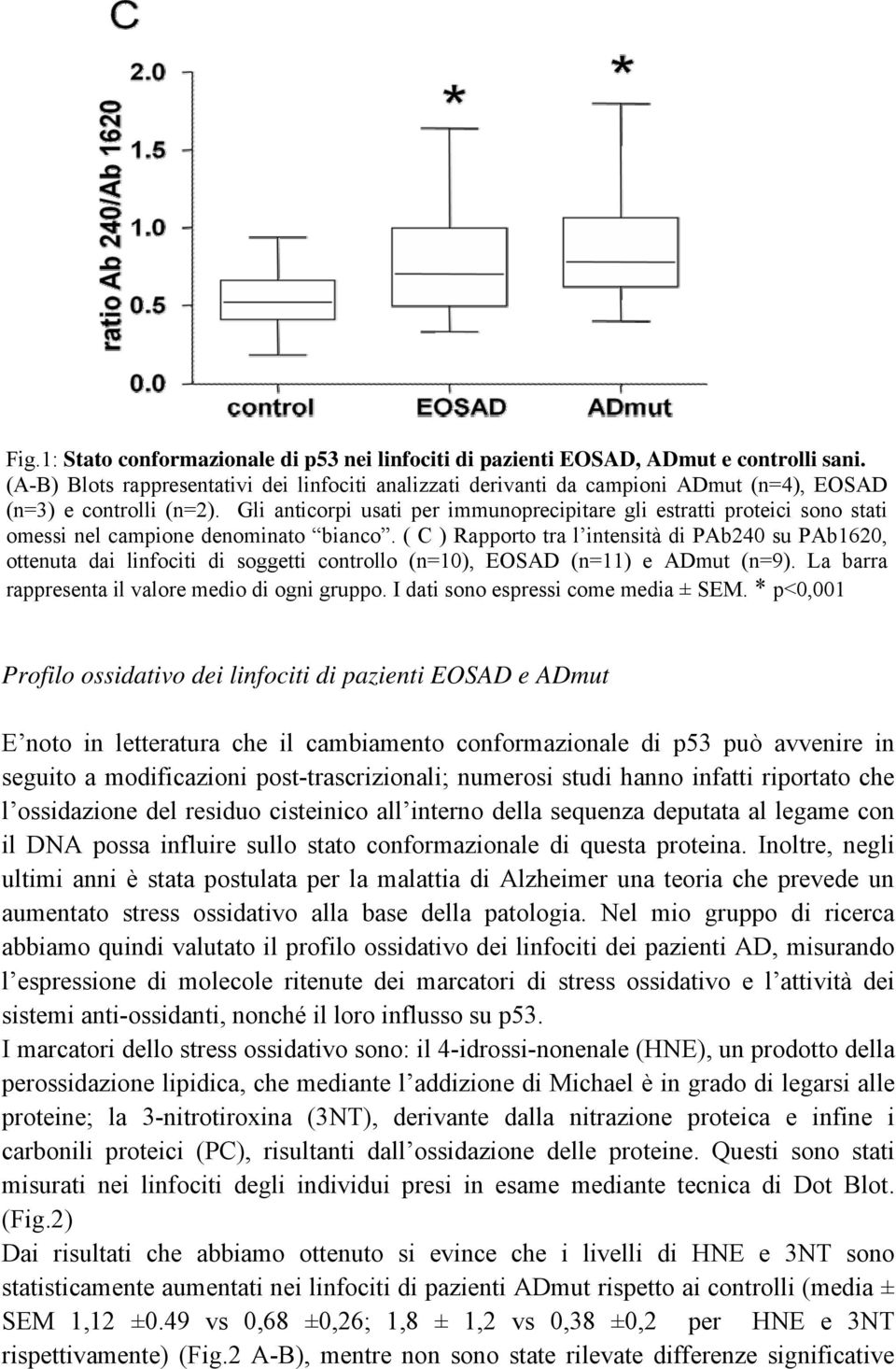 Gli anticorpi usati per immunoprecipitare gli estratti proteici sono stati omessi nel campione denominato bianco.