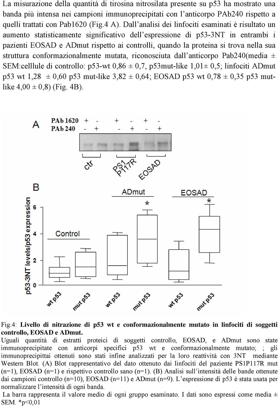 Dall analisi dei linfociti esaminati è risultato un aumento statisticamente significativo dell espressione di p53-3nt in entrambi i pazienti EOSAD e ADmut rispetto ai controlli, quando la proteina si