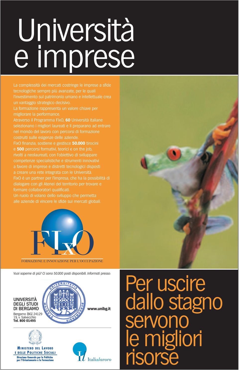 Atraverso il Programma FixO, 60 Università italiane selezionano i migliori laureati e li preparano ad entrare nel mondo del lavoro con percorsi di formazione costruiti sulle esigenze delle aziende.