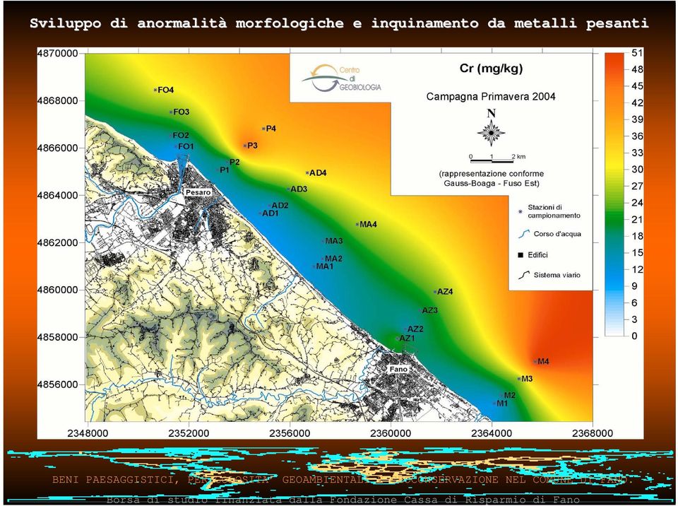 morfologiche e