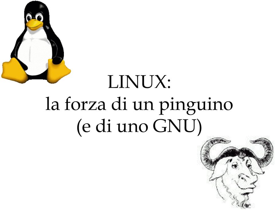 pinguino (e